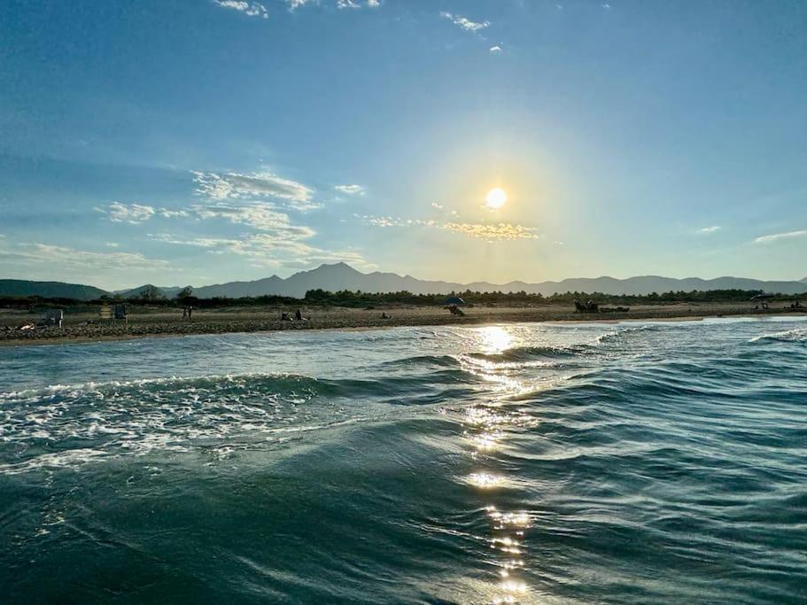 דירות Playa de Gandia Relax En Playa De L'Ahuir Gandia מראה חיצוני תמונה
